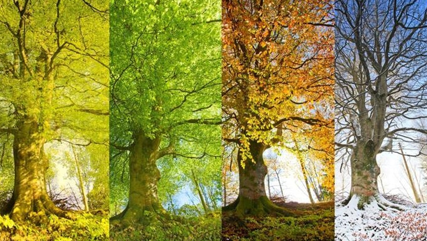 How’s the end of winter going for you?